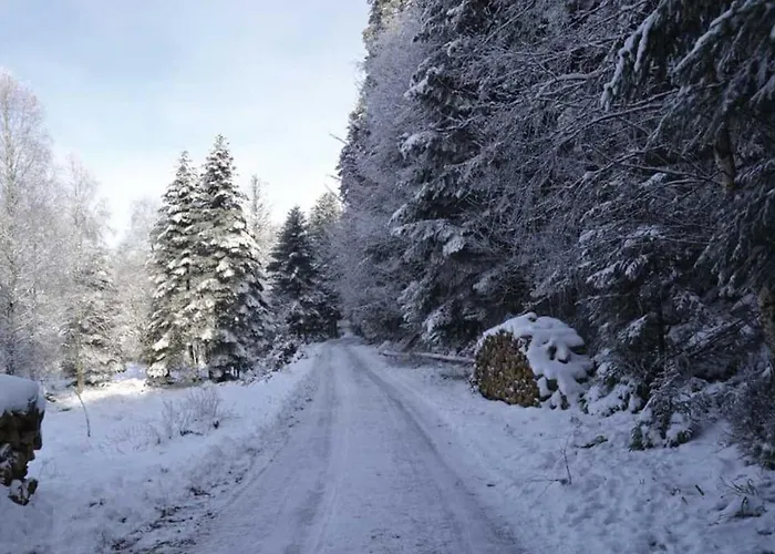 Gite HANSEL de la Ferme du Schneeberg