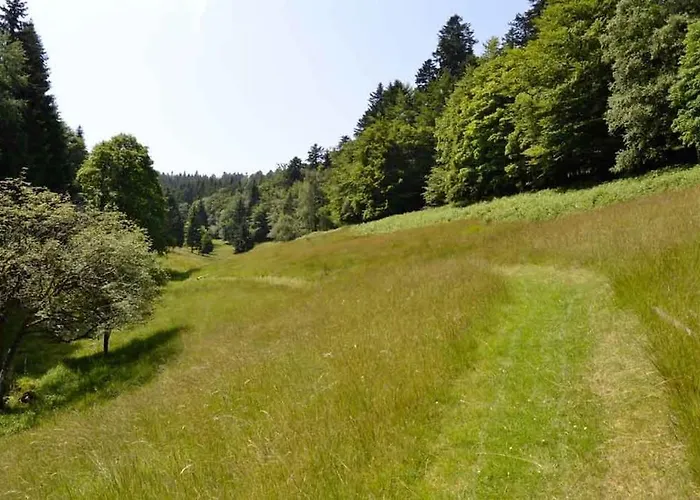 Gite HANSEL de la Ferme du Schneeberg