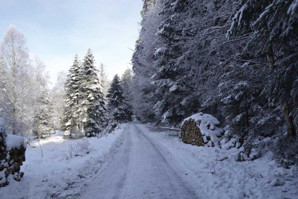 Hansel De La Ferme Du Schneeberg *
