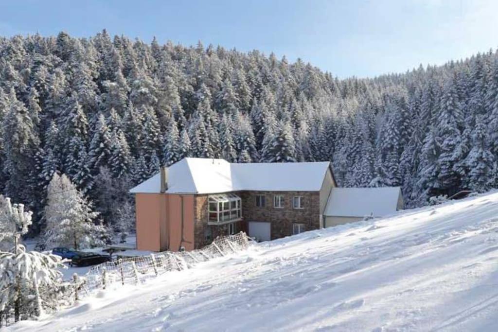Hansel De La Ferme Du Schneeberg * Wangenbourg-Engenthal